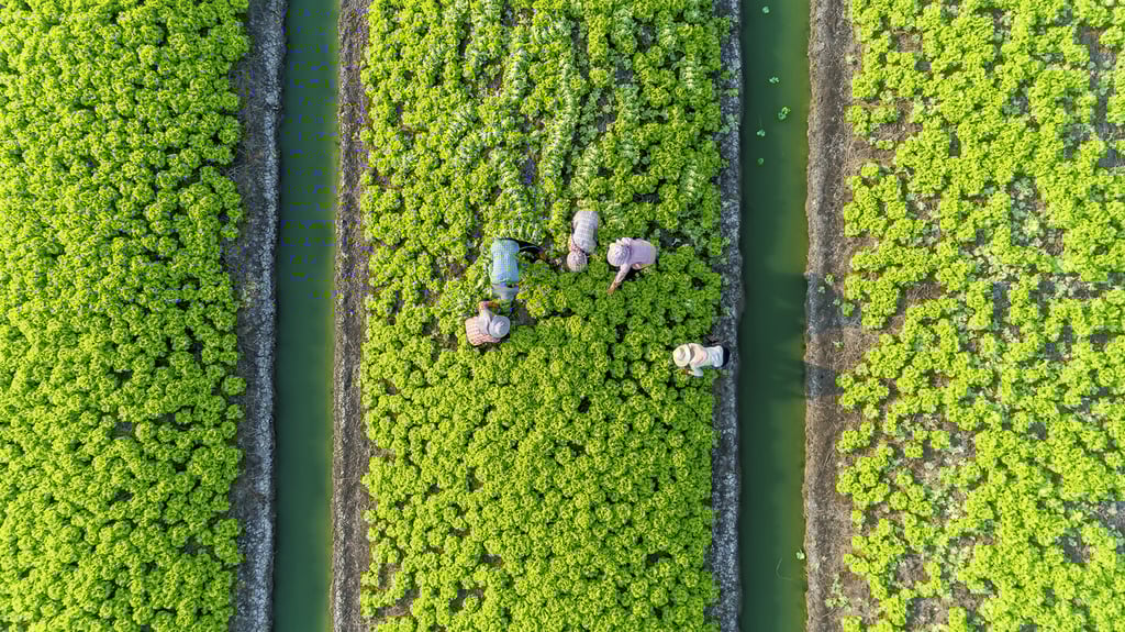 de-ba carbon footprint 1280-720.jpg