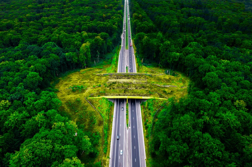 Aerial-view-of-highway-through-forest