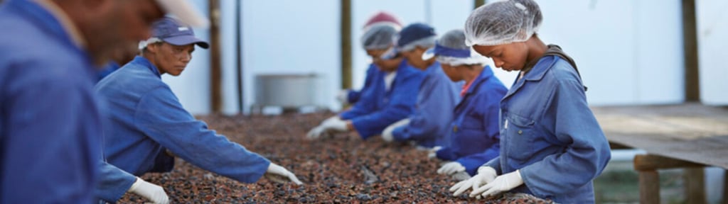 People working on agricultural project